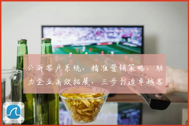 公海客户系统，精准营销策略，助力企业高效拓展，三步打造卓越客户体验