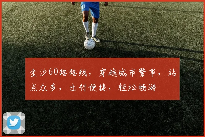 金沙60路路线，穿越城市繁华，站点众多，出行便捷，轻松畅游